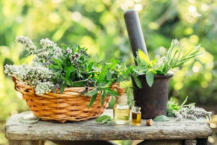 les-plantes-aromatiques-a-portee-de-main