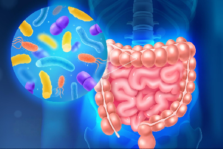 7148-l-impact-du-microbiote-sur-ma-sante