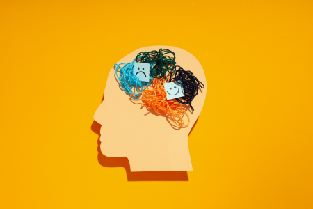 7870-bipolarite-quand-les-emotions-font-le-grand-ecart