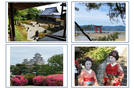 7906-les-cafes-parisiens