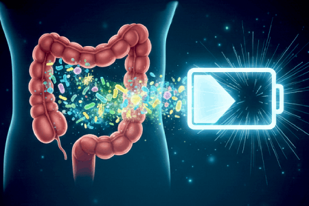 8130-votre-microbiote-votre-super-batterie