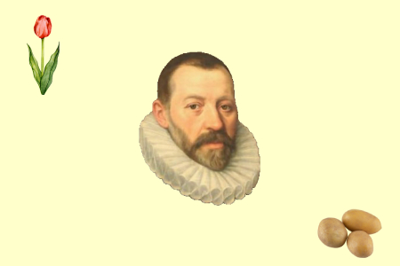 8430-charles-de-l-ecluse-de-la-tulipe-a-la-pomme-de-terre-l-epopee-d-un-botaniste-au-xvie-siecle