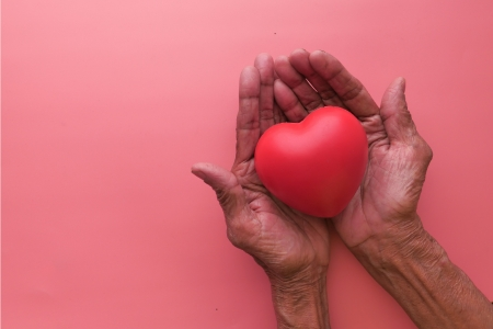 8849-chouchoutez-votre-coeur-les-cles-de-la-sante-cardiovasculaire