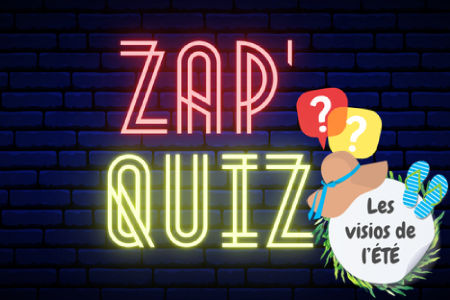 8829-les-visios-de-l-ete-le-zap-quiz