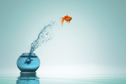 8261-redonner-du-sens-pour-retrouver-motivation-et-engagement